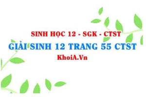 Giải Sinh 12 trang 55 Chân trời Sáng tạo